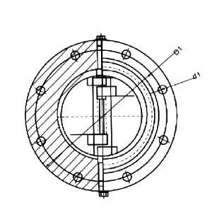 pʽֹy(bio)